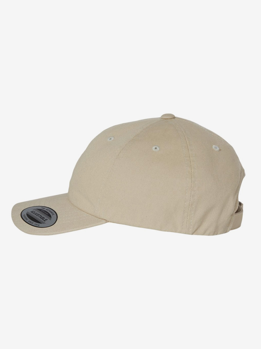 EcoWash Dad Hat alternative view