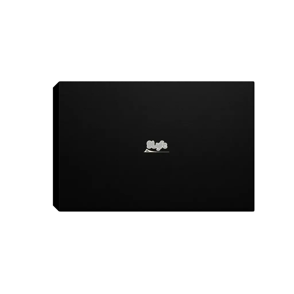 9Lyfe Logo Canvas