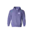 CTPS Branded Gildan Heavy Blend Hoodie thumbnail 5