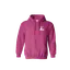 CTPS Branded Gildan Heavy Blend Hoodie thumbnail 7