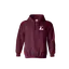 CTPS Branded Gildan Heavy Blend Hoodie thumbnail 9