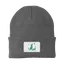 CTPS Branded Port & Company Knit Cap thumbnail 1