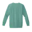 Be The Change: Comfort Colors Crewneck Sweatshirt thumbnail 6