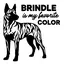 Brindle Favorite Color - Water Bottle thumbnail 3