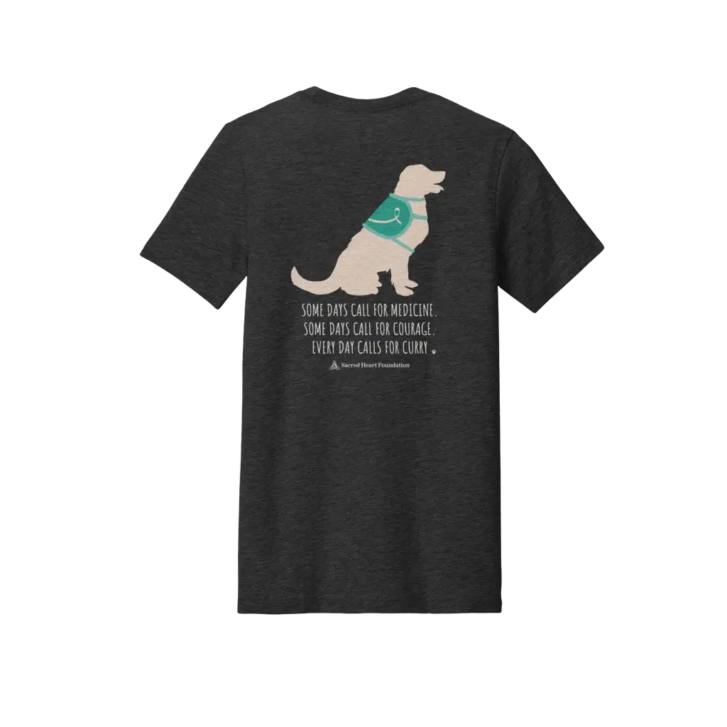 Welcome Curry-Age: Bella + Canvas T-Shirt