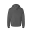 Zen Denton Rainbow Logo Hoodie thumbnail 6