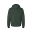 Zen Denton Rainbow Logo Hoodie thumbnail 10