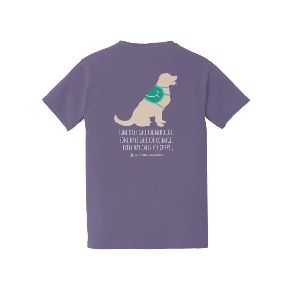 Welcome Curry-Age: Comfort Colors T-Shirt