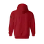Land of the Free Because of the Brave Hooded Sweatshirt thumbnail 14