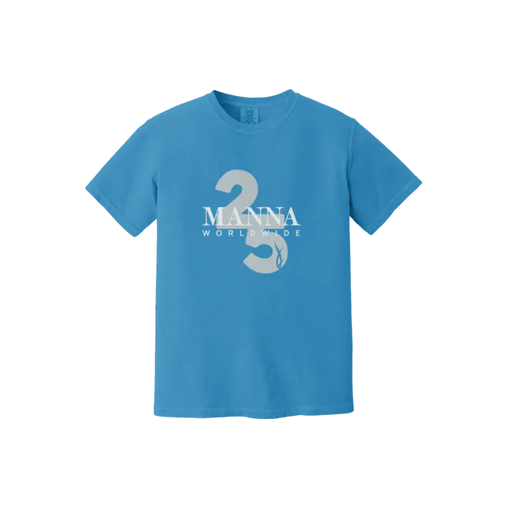 25th Anniversary Tee - Blue