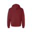CAR Logo Hoodie thumbnail 10