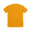 Be The Salt & Light: Next Level Soft Ringspun T-Shirt thumbnail 4