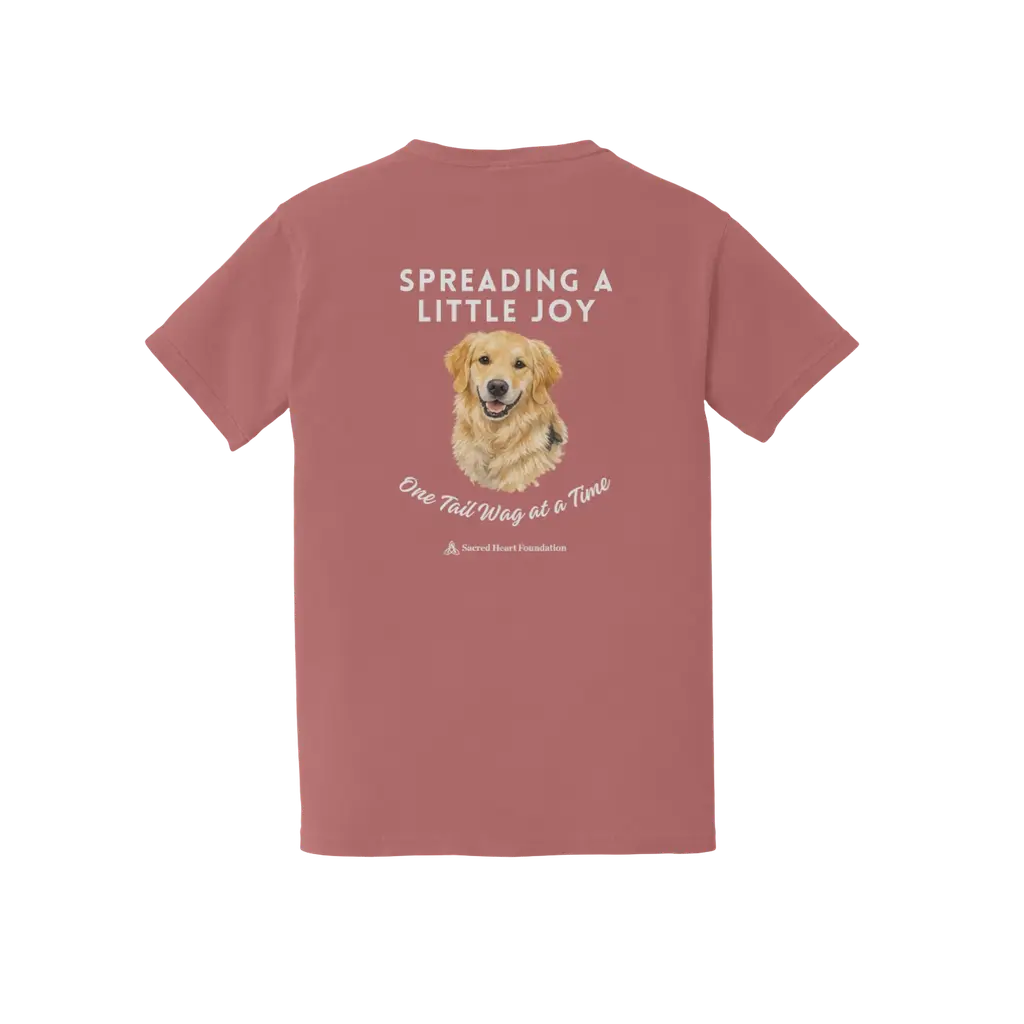 Spreading a Little Joy: Comfort Colors T-Shirt