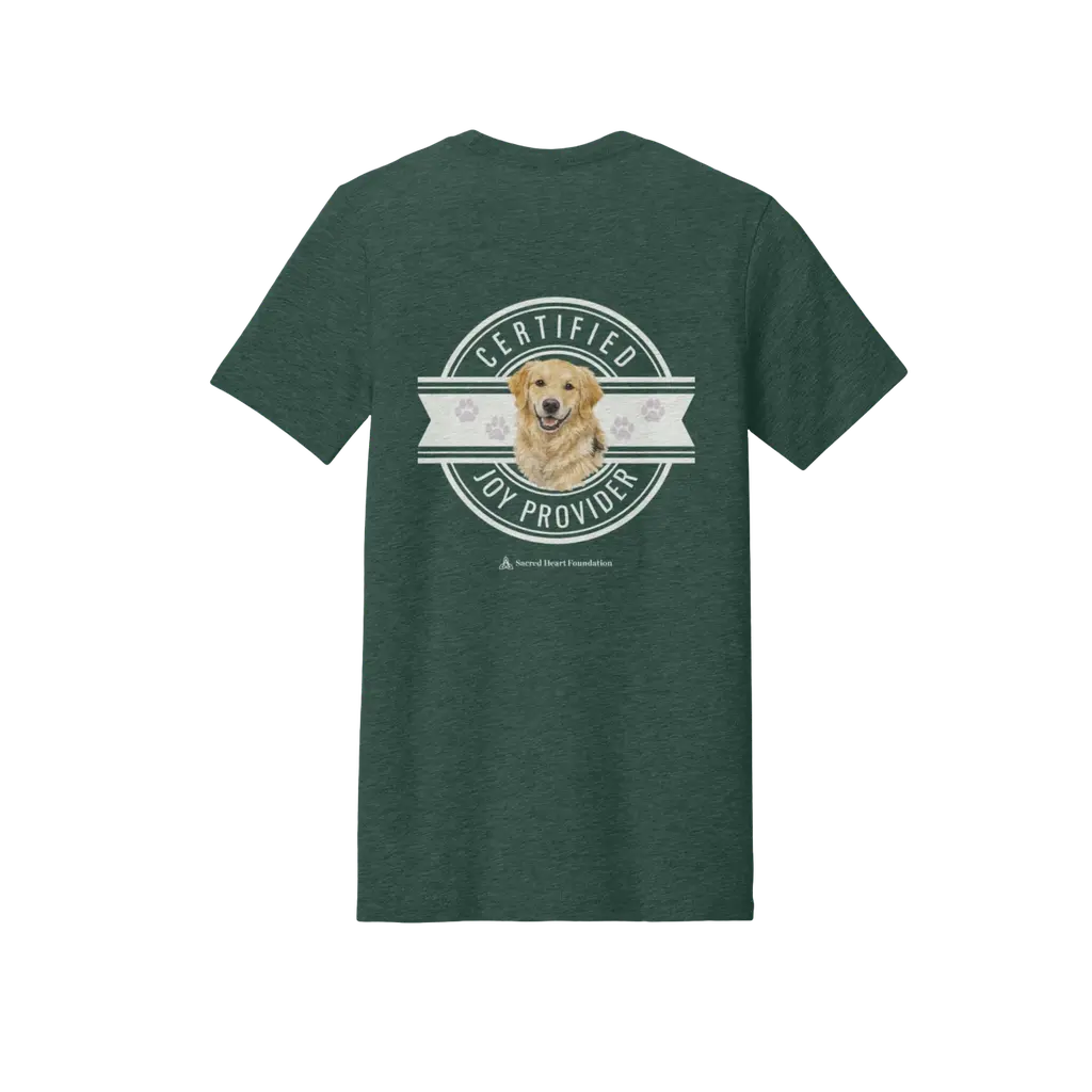 Certified Joy Provider: Bella + Canvas T-Shirt