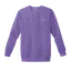 Certified Joy Provider: Comfort Colors Crewneck thumbnail 5