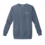Facility Dog Eras: Comfort Colors Crewneck Sweatshirt thumbnail 5
