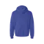 MSCG Logo Large Hoodie-Dark Colors thumbnail 8