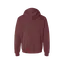 MSCG Logo Large Hoodie-Dark Colors thumbnail 10
