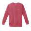 Birdie Is My Bestie: Comfort Colors Crewneck Sweatshirt thumbnail 7