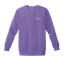 NICU Awareness: Comfort Colors Crewneck Sweatshirt thumbnail 7