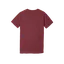 Adult SPBS Shirt with Crest - Cardinal and Navy thumbnail 4