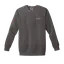 Light Up the Future: Comfort Colors Sweatshirt thumbnail 2