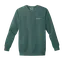 Light Up the Future: Comfort Colors Sweatshirt thumbnail 3