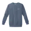 Light Up the Future: Comfort Colors Sweatshirt thumbnail 5