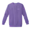 Light Up the Future: Comfort Colors Sweatshirt thumbnail 7