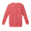 Light Up the Future: Comfort Colors Sweatshirt thumbnail 9