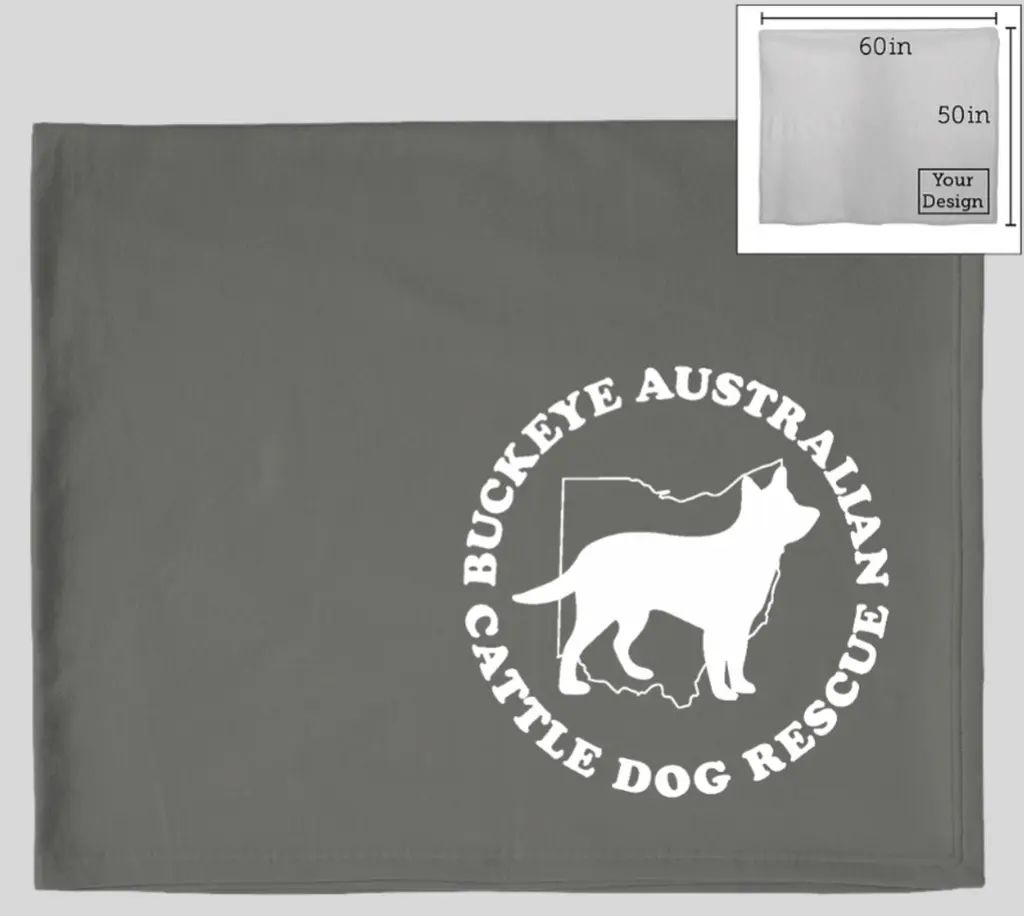BACDR Logo Blanket