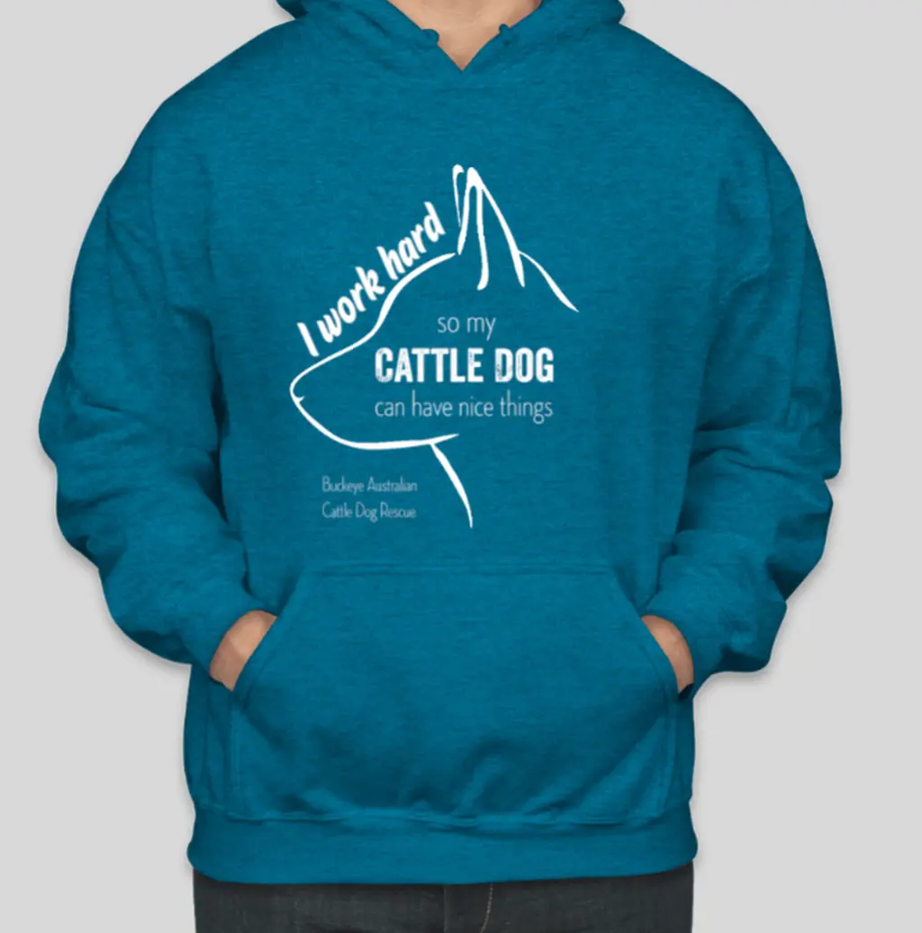 I Work Hard Hoodie