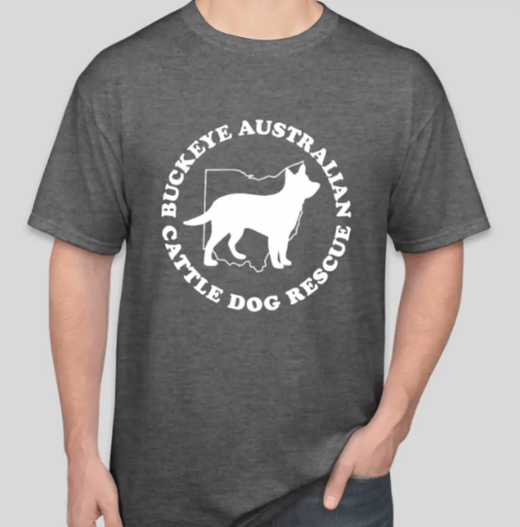 BACDR Big Logo Short Sleeve T-Shirt