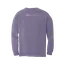 Pediatric Rehab: Comfort Colors Long Sleeve T-Shirt thumbnail 8