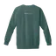 Fall Neonatal ICU: Comfort Colors Crewneck thumbnail 4
