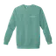 Brave and Unstoppable: Comfort Colors Crewneck Sweatshirt thumbnail 3