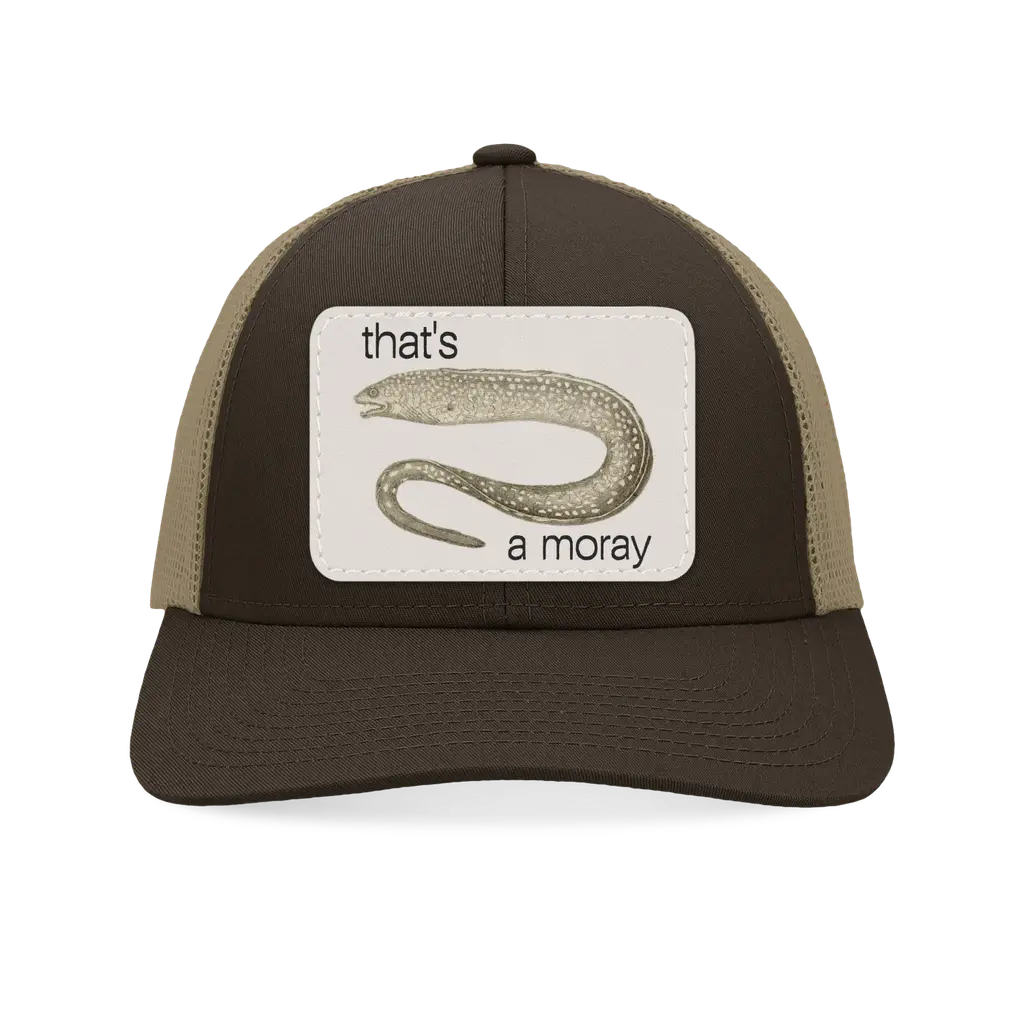 That's a Moray (hat)