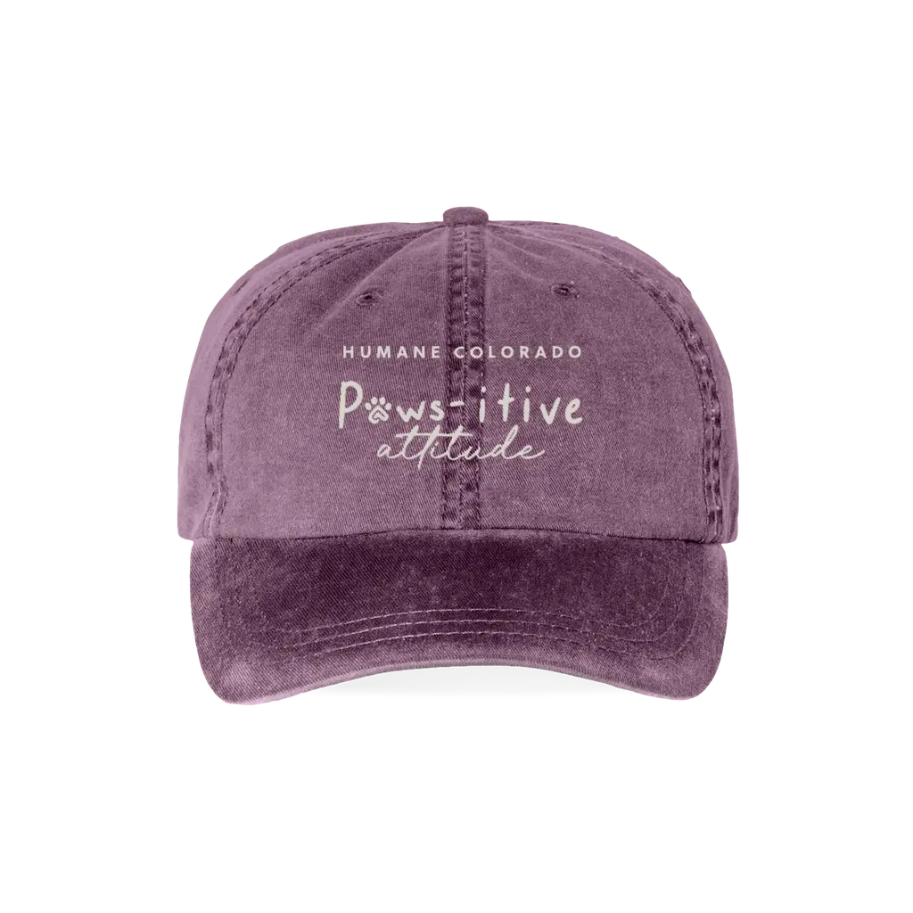 Paws-itive Attitude Baseball Cap