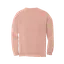Cat Person Comfort Colors Long Sleeve thumbnail 2