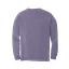 Colorado Loves Horses Comfort Colors Long Sleeve thumbnail 2
