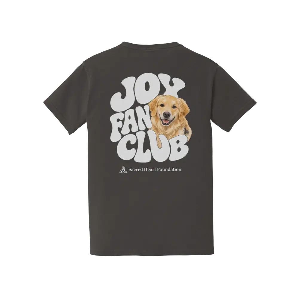 Joy Fan Club: Comfort Colors T-Shirt