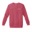Birdie Fan Club: Comfort Colors Sweatshirt thumbnail 9
