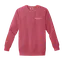 Tully Fan Club: Comfort Colors Sweatshirt thumbnail 9