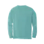 Homes with Hearts Comfort Colors Long Sleeve thumbnail 2