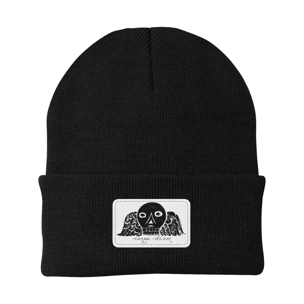 Carpe Diem (knit cap)