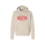 SJDSA Word Logo (Red) Fleece Hoodie thumbnail 1