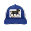 Zoe maildog  thumbnail 5