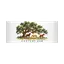Century Oak Tree Mug thumbnail 6