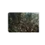 Ponderosa Sky Canvas Print thumbnail 1