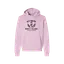 Student of Earth School - Sponge Fleece Hoodie thumbnail 5